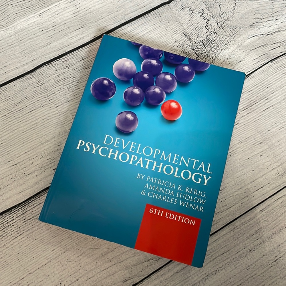 Developmental Psychopathology by Patricia K. Kerig 6th Edition Textbook